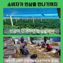 홍삼주유소 이미지