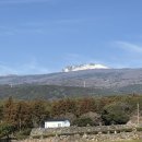 서귀한의원 제주서귀포점 | [서귀다원] 제주 서귀포의 고즈넉한 녹차밭, 밭뷰에서 즐기는 속편한 녹차한잔의 여유