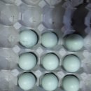 현성농장 이미지