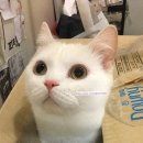 동그라미약국 이미지