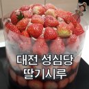 대전 성심당 롯데백화점 대전점 본점 딸기시루 웨이팅 구매 후기