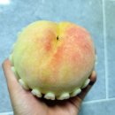 두물농원