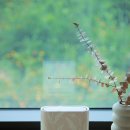 제주구도 | 제주도 감성풀빌라숙소 제주구도와 KT WiFi 7D 공유기 후기