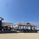 서피비치(surfyy beach)