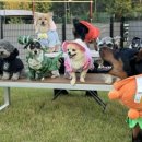 시흥승마힐링체험장 이미지