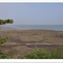 서산갯마을낙지 이미지