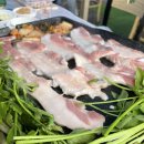 강보농장 | 원동 미나리삼겹살 1년에 90일만 장사하는 전망좋은집 내돈내산 솔직후기