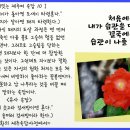 도새기