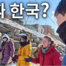 형통농장 네이버블로그