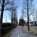 철길숲(우현동) 이미지