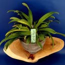 이섭농장 이미지