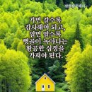 활터골경로당 Daum카페