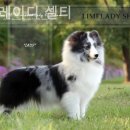 라임레이디 이미지