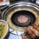 섬돼지