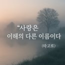 쉽게 배우는 우리집 정리법 | 인생을 바르게 보는 법 놓아주는 법 내려놓는 법 후기｜지친 마음을 치유하는 문장들