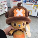 뽑신뽑왕 네이버블로그