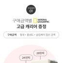 에이스침대동탄