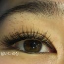 탑바디 왁싱&속눈썹