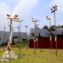 평화황토 이미지