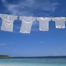 세탁도우미 이미지