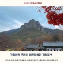 구로-공단-구로-966 | 명산 ⛰️ 가을산행 주왕산 예쁜암봉과 병풍처럼 둘러싸여있는 멋진 기암절벽 📍주왕산 주봉코스 자세한후기