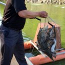 암반수낚시터 이미지