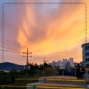 카페:띠에 이미지