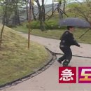 한성고깃집