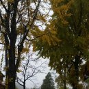 탑골농원 이미지