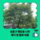 행당제1동주민센터 | 성동구 행당동 나무 제거 및 벌목 비용