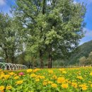 자라섬게스트 하우스 이미지