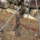 수양1 농장 이미지