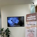 고운채로의원 네이버블로그