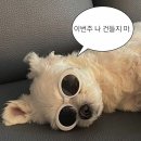 오목로4길 이미지