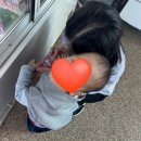 태산농장 1 | 뒤죽박죽 일상