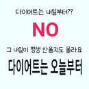 이지핏 다이어트