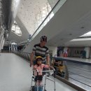 포레스트아이스2 이미지