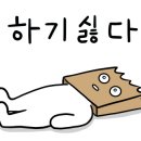이튼치과 이미지