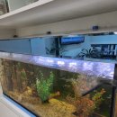 어항카센터 이미지