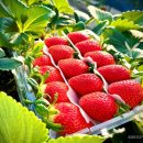 해수농장 이미지