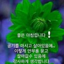 7월 12일 수요일 서울방 :한글날! 바뀐 철자법, 단어들을 아시나요? 이미지