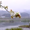 시절 인연 이미지