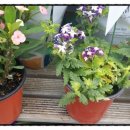 공공용 94 이미지