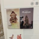 정통 호흡 요가 이미지