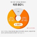 댕댕아 이리온 | 웰츠 독 어덜트 강아지 반려견 사료 후기!!