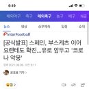 이거 이 요렌테 아니지 않나요 이미지