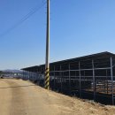 현명태양광발전소 이미지