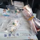늘푸른가정의학과 네이버블로그