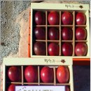 궁한옥민박 이미지