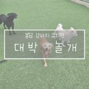 대박놀개 이미지